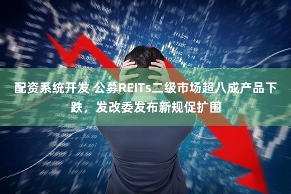 配资系统开发 公募REITs二级市场超八成产品下跌，发改委发布新规促扩围