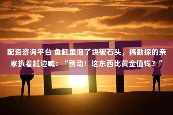 配资咨询平台 鱼缸里泡了块破石头，搞勘探的亲家扒着缸边喊：“别动！这东西比黄金值钱？”